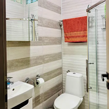 Joy Nemoianu 13a-8 *