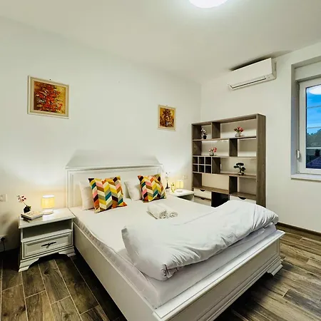 Apartment Joy Nemoianu 13a-8