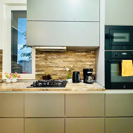 Joy Nemoianu 13a-8 Apartment Timisoara