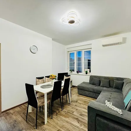 Joy Nemoianu 13a-8 Timisoara