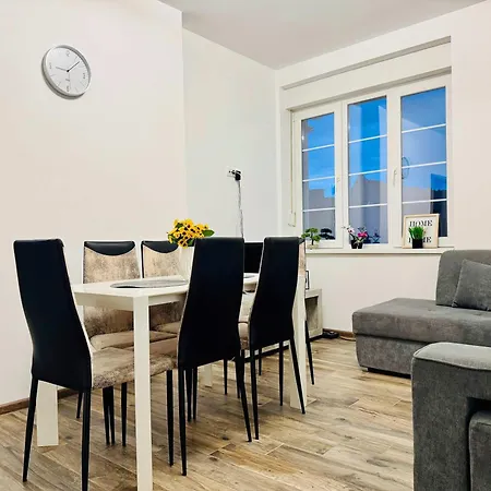 Joy Nemoianu 13a-8 * Timişoara