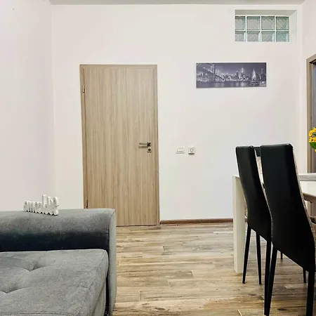 Joy Nemoianu 13a-8 Apartment Timisoara