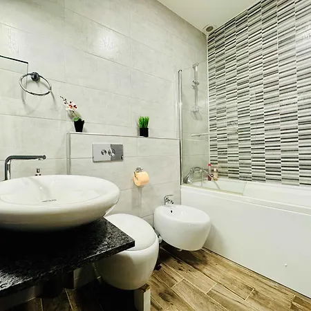 Joy Nemoianu 13a-8 Timişoara