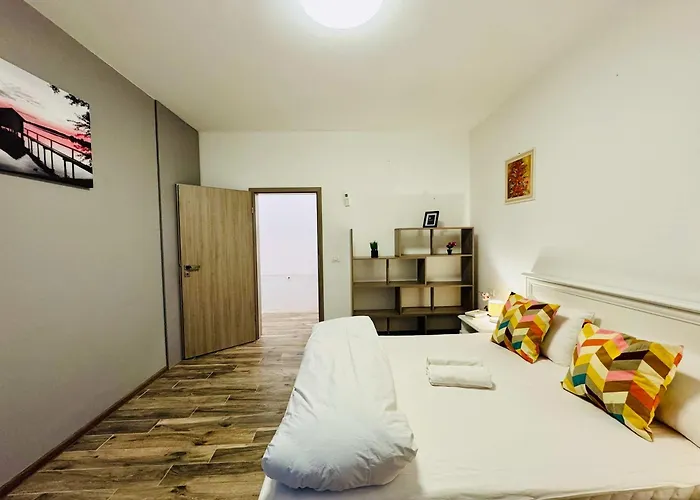 Joy Nemoianu 13a-8 Timisoara