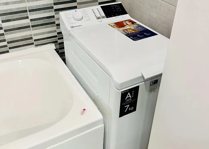 Joy Nemoianu 13a-8 Timişoara