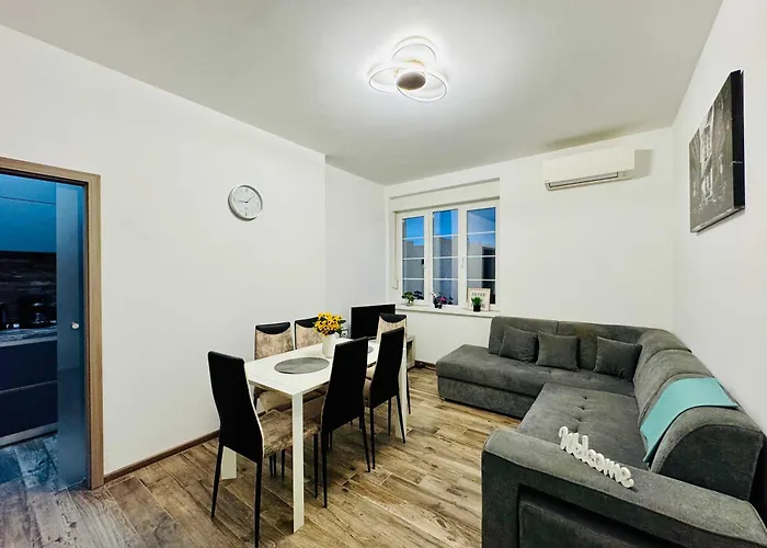 Joy Nemoianu 13a-8 Timisoara