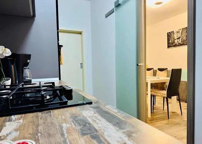 Joy Nemoianu 13a-8 * Timisoara