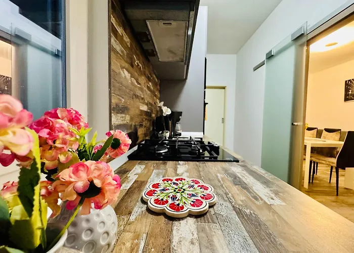 Joy Nemoianu 13a-8 Timisoara