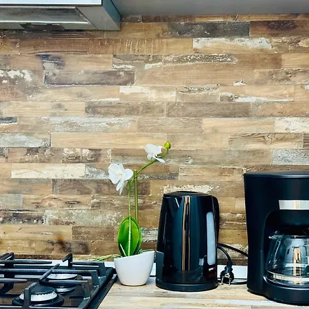 Joy Nemoianu 13a-8 דירה