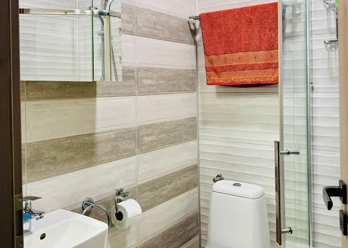 Joy Nemoianu 13a-8 *