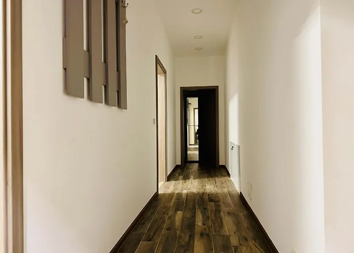 Joy Nemoianu 13a-8 Timişoara