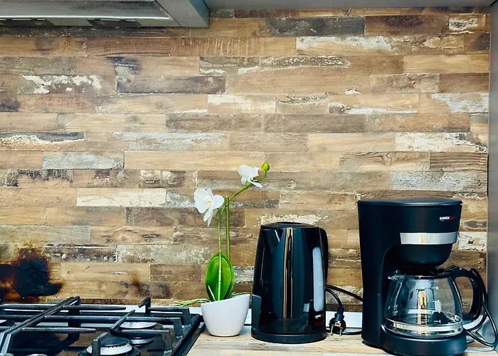 Joy Nemoianu 13a-8 Appartement