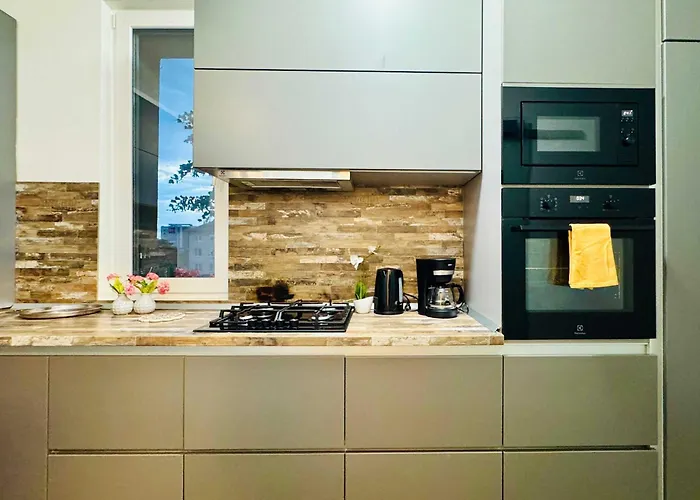 Joy Nemoianu 13a-8 Appartement Timişoara